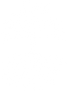 Root Media